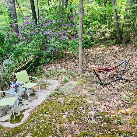 Modern Cabin With Hot Tub Grill Lake Beach Wineries Hiking Fishing And Hershey Park Family And Pet Friendly Superhosts On Ab&B Mount Gretna Eksteriør billede